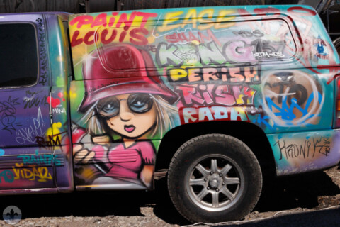 Mini Flood 91: Paint Louis 2025