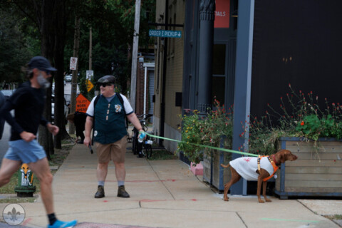 Photo Flood 141: Fox Park